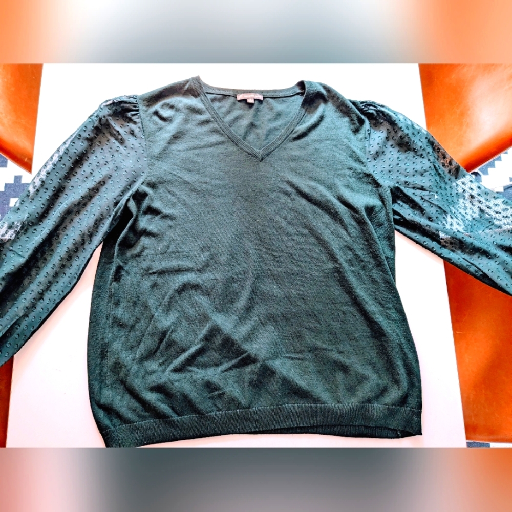 Adrianna Papell Women's Dark Green Sweater with Sheer Sleeves - L